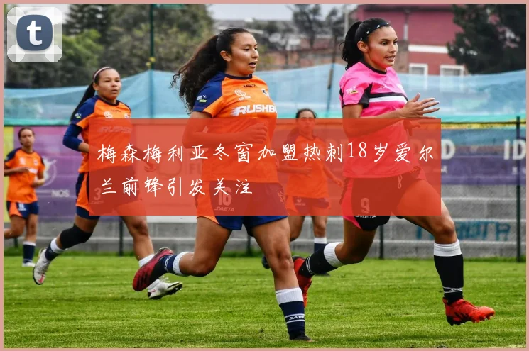 梅森梅利亚冬窗加盟热刺18岁爱尔兰前锋引发关注
