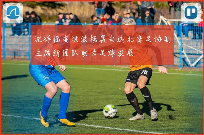 沈祥福高洪波杨晨当选北京足协副主席新团队助力足球发展