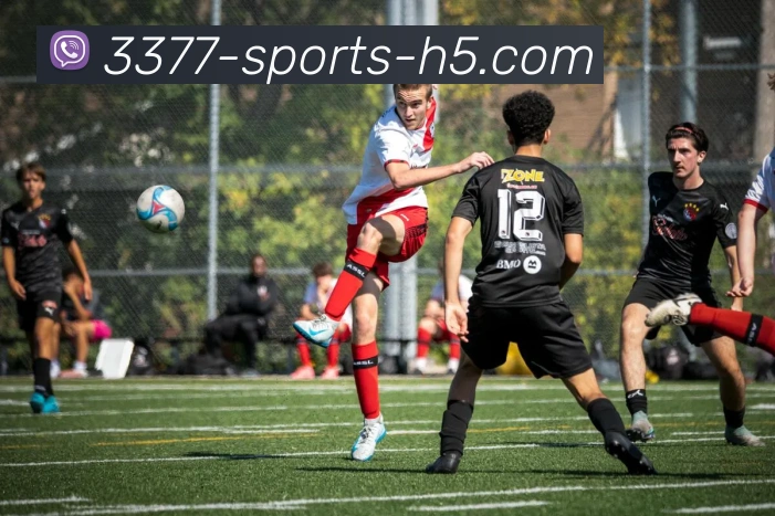 3377体育平台生态图