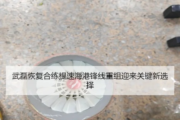 武磊恢复合练提速海港锋线重组迎来关键新选择（3377Sports）